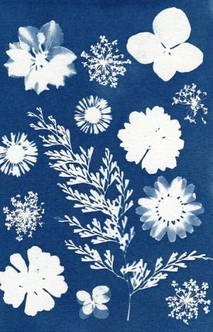 Na niebieskim tle białe elementy kwiatowe