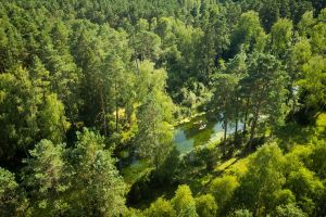 Las i woda widziana z lotu ptaka.