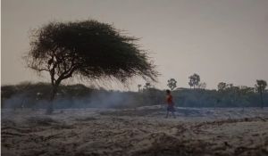 Samotna kobieta idzie przez rżysko, na pierwszym planie drzewo bez liści