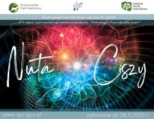 Grafika abstrakcyjna na plakacie konkursu poetycko-filmowego „Przyroda jaką znam”.