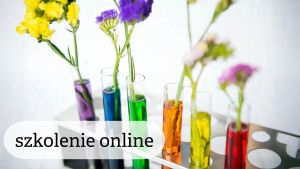 Kwiaty wstawione do probówek z płynem w różnych kolorach.