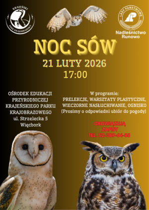 Plakat promujący Noc Sów z logotypami organizatora oraz zdjęciami sów.