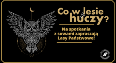 Plakat promujący akcję z grafiką sowy i logo LP.
