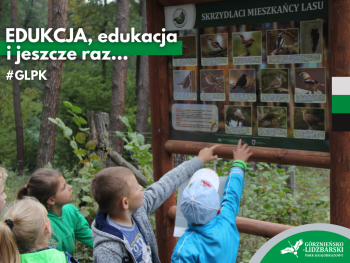 Dzieci w lesie oglądają tablicę edukacyjną z gatunkami ptaków.