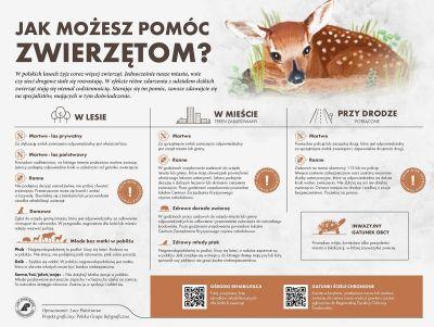 Grafika informacyjna Jak możesz pomóc zwierzętom?