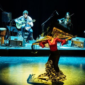 Tańcząca kobieta w spódnicy do flamenco, w rękach trzyma chustę.