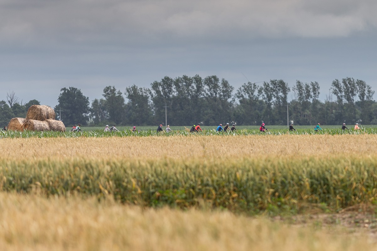 Pola i las, w oddali widać rowerzystów.