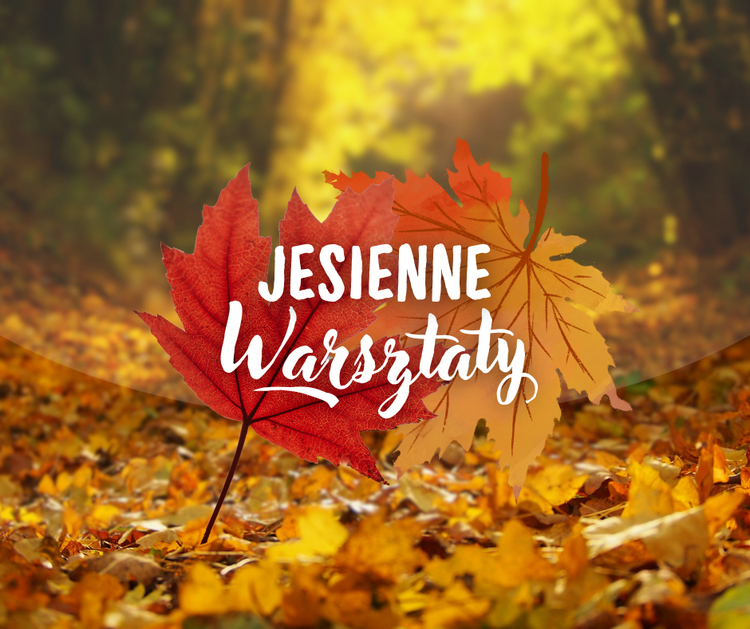 Dwa kolorowe liście klonu na tle liści pokrywających ziemię w lesie.