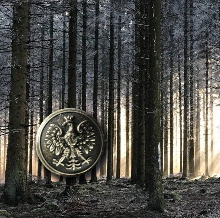 Las, metalowy guzik z orłem w koronie i napis: Katyń 1940.
