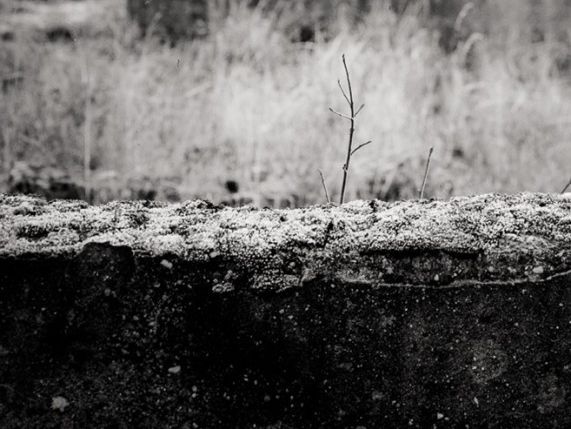 Czarno-biały pejzaż.