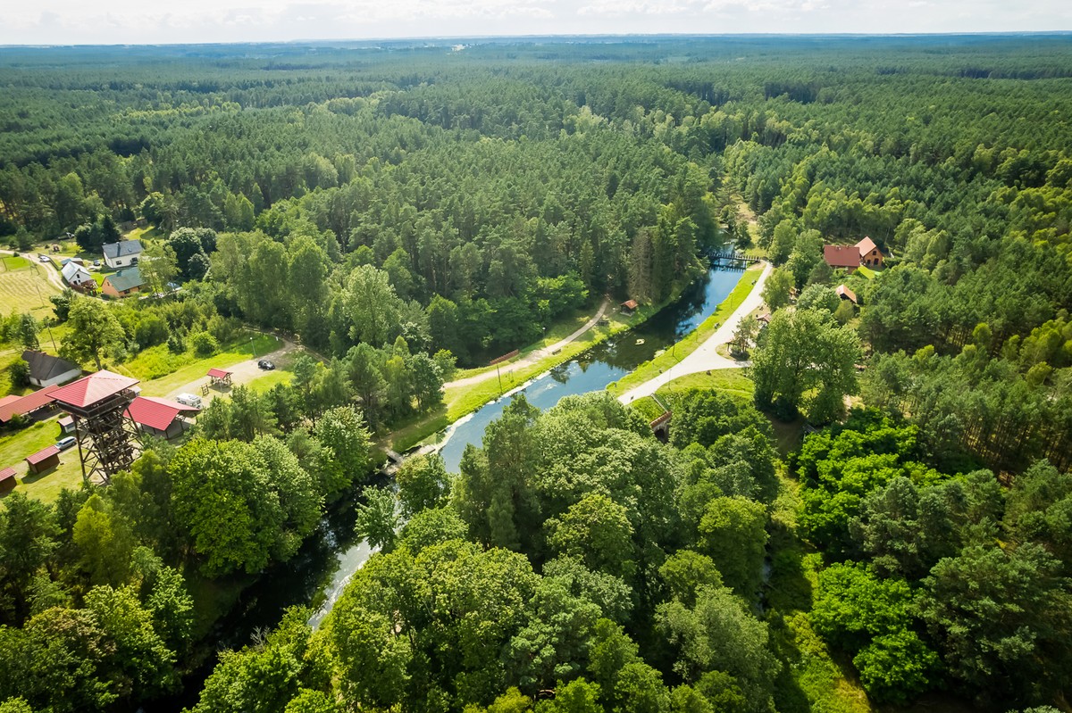 Tucholski Park Krajobrazowy – 40 lat ochrony przyrody