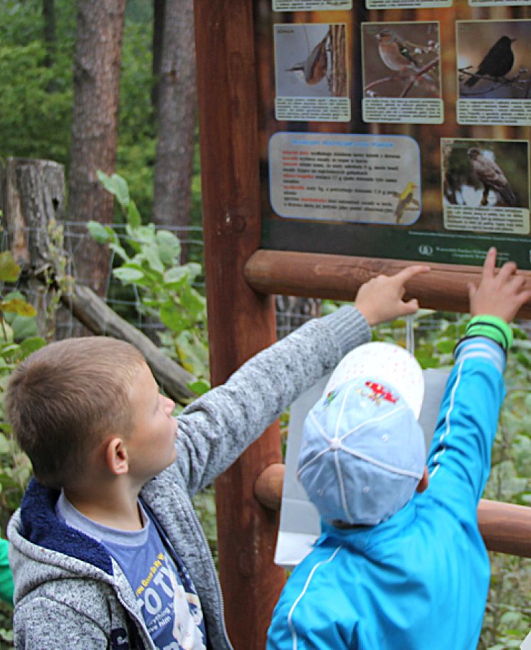 Dzieci w lesie oglądają tablicę edukacyjną z gatunkami ptaków.