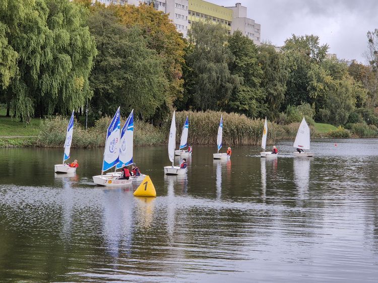 Żaglówki klasy Optimist na akwenie w mieście.