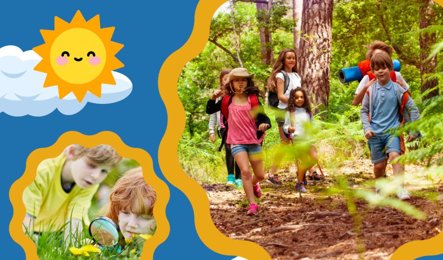 Dzieci w lesie i na łące poznają przyrodę.