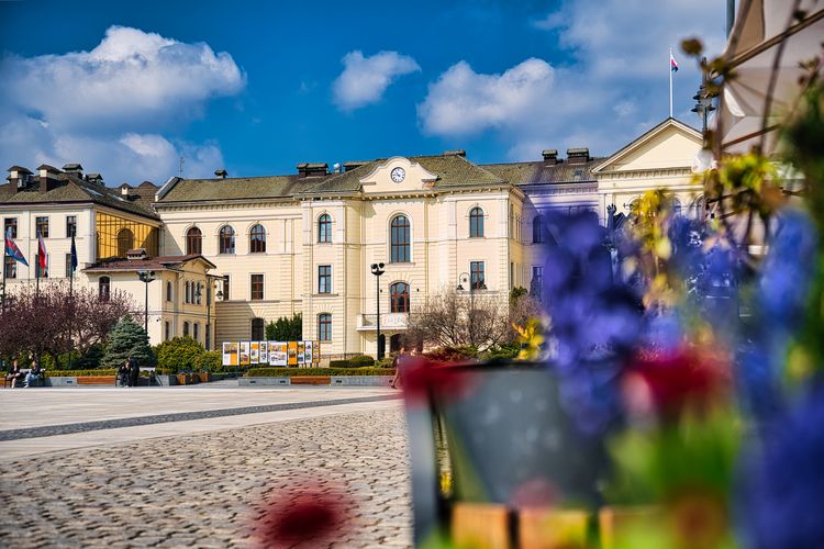 Ratusz z zegarem na fasadzie i część rynku z kwiatami.