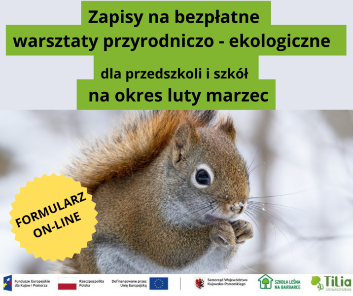 Plakat informujący o zapisach na zajęcia, zdjęcie wiewiórki rudej, zawiera logotypy organizatorów.