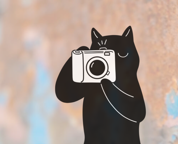 Kot z aparatem fotograficznym.