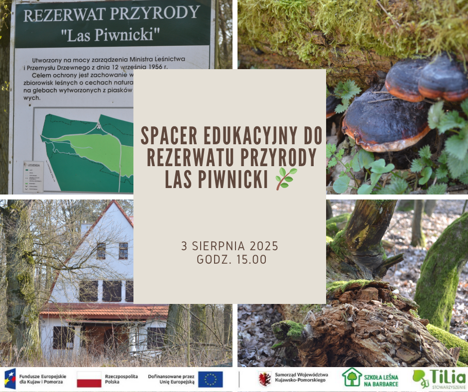 Plakat promujący Spacer edukacyjny do Rezerwatu Przyrody Las Piwnicki.