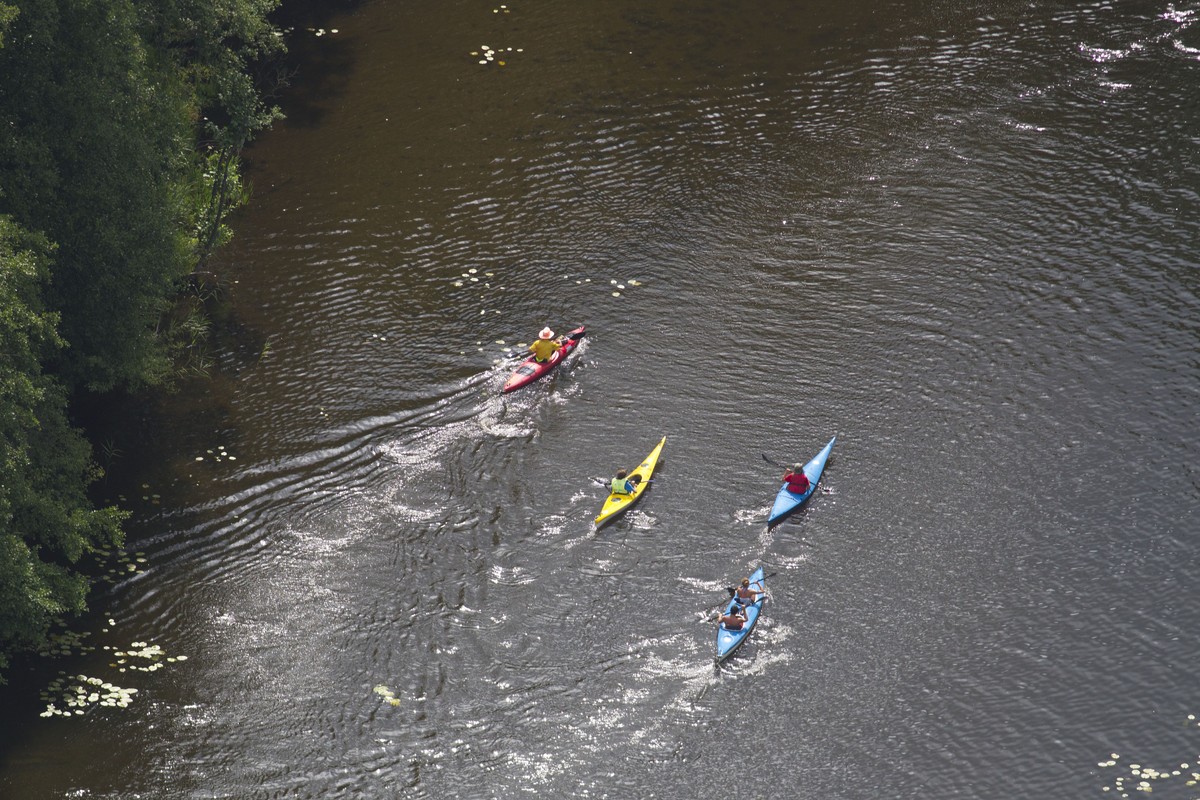 Kilka osób płynie po rzece kajakami, widok z lotu ptaka.