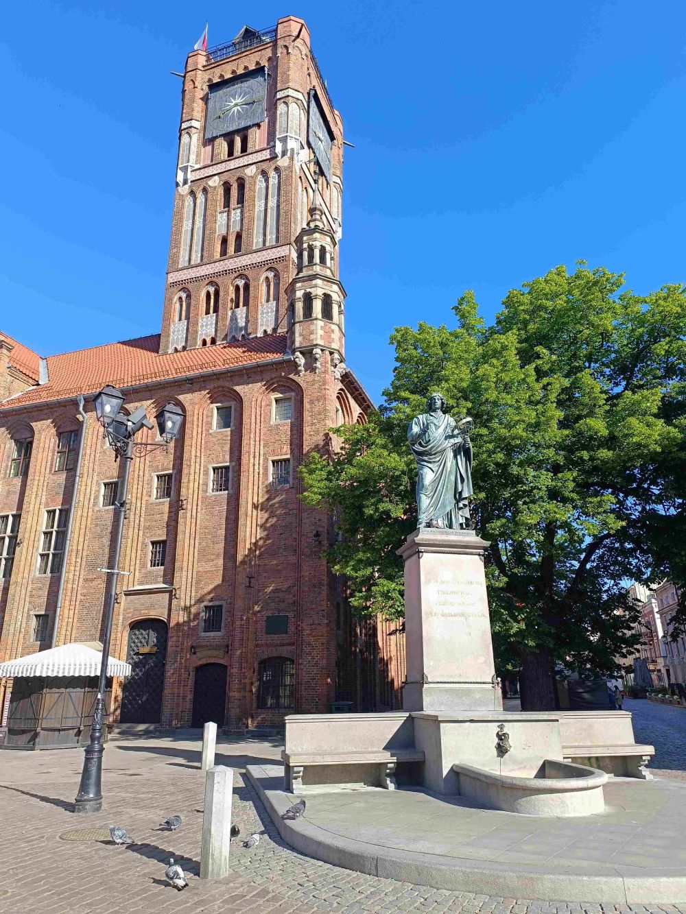 Ratusz Staromiejski oraz pomnik Mikołaja Kopernika w Toruniu.