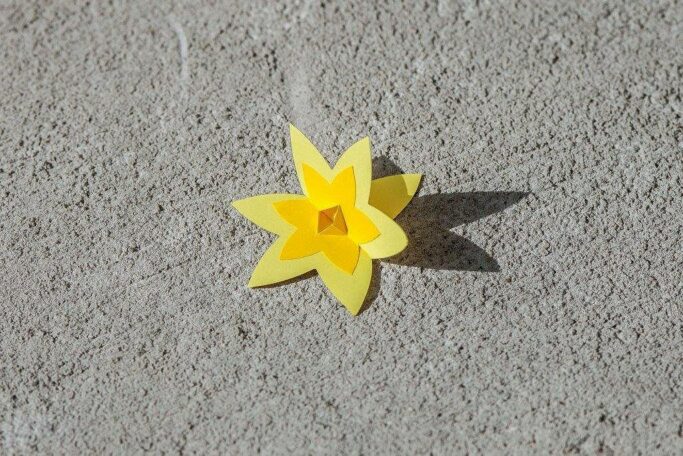 Papierowy żółty kwiat- żonkil leżący na betonie