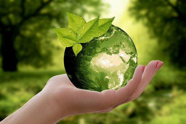 zielona planeta ziemia na dłoni