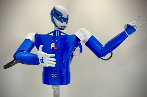 robot humanoidalny