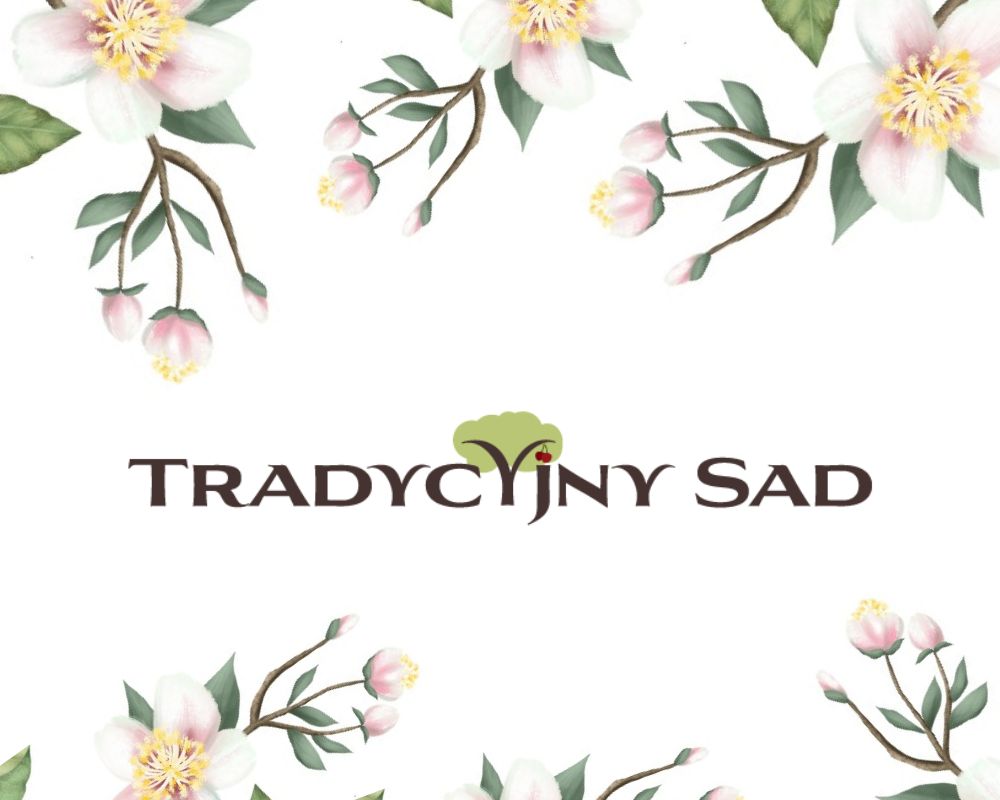 Na tle kwitnących gałęzi jabłoni logotyp projektu "Tradycyjny Sad".