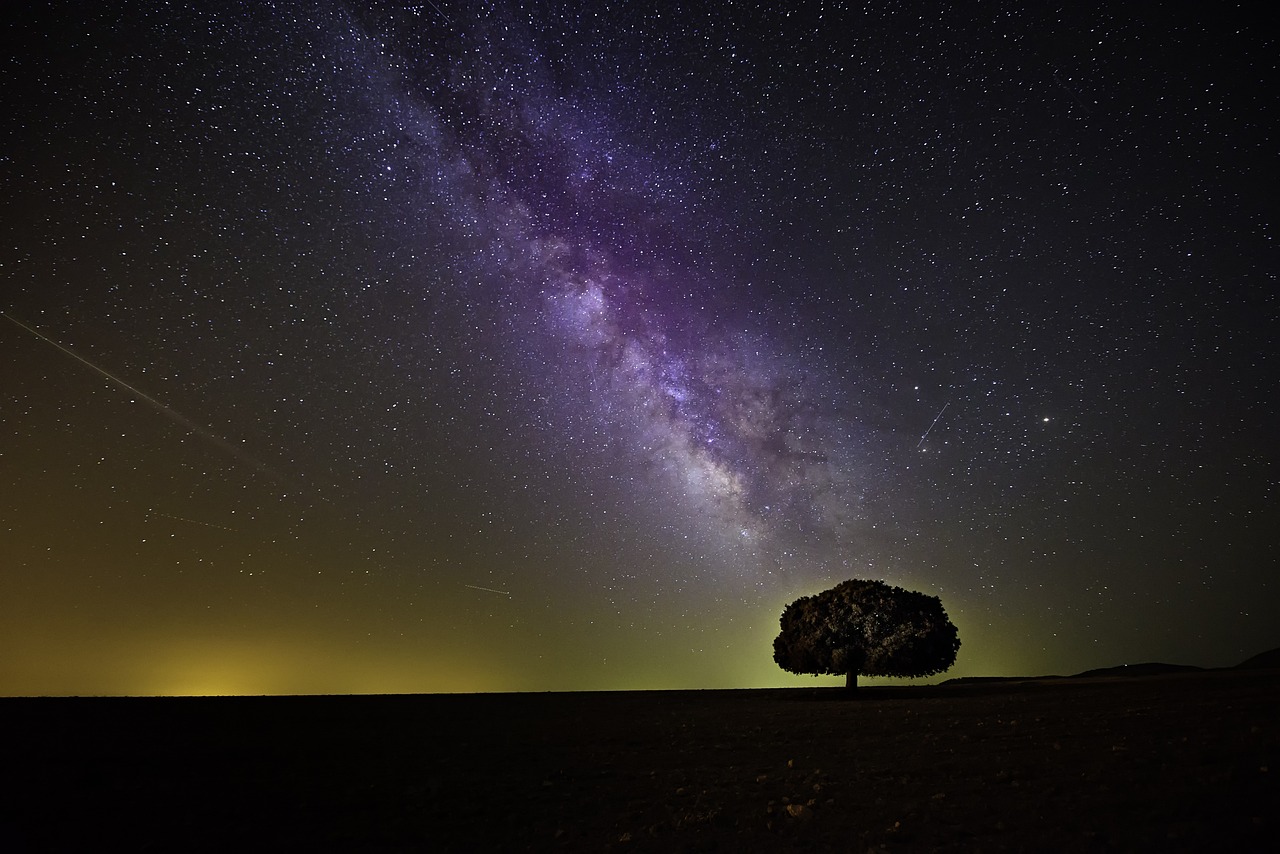 Drzewo na tle nocnego nieba z poświatą