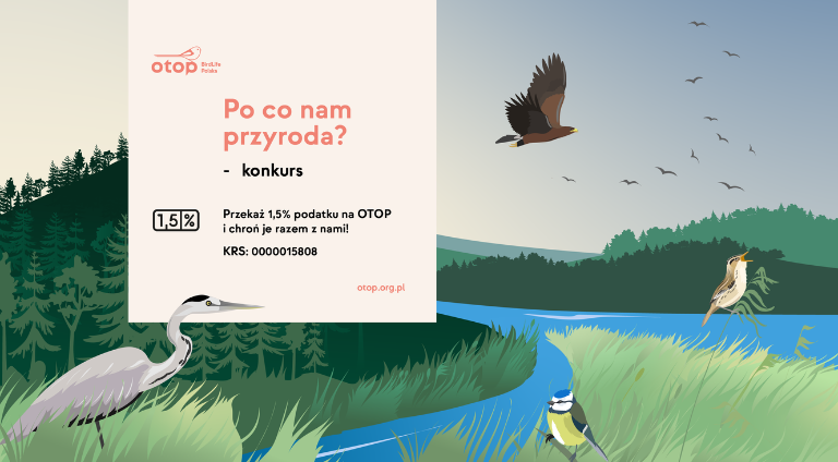 Grafika z podstawowymi informacjami o konkursie, ptaki wśród traw nad jeziorem, w otoczeniu lasów