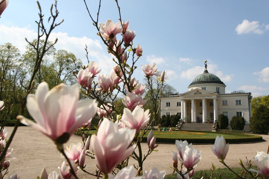 Pałac w Lubostroniu na tle kwitnącej magnolii