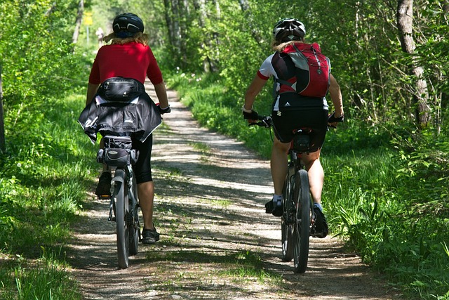 rowerzyści jadący przez las