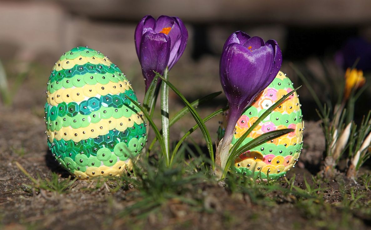 widok na dwa fioletowe krokusy kwitnące w trawie, obok dwa wykonane ręcznie jajka ozdobione cekinami