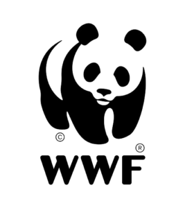 Panda w logo Fundacji WWF