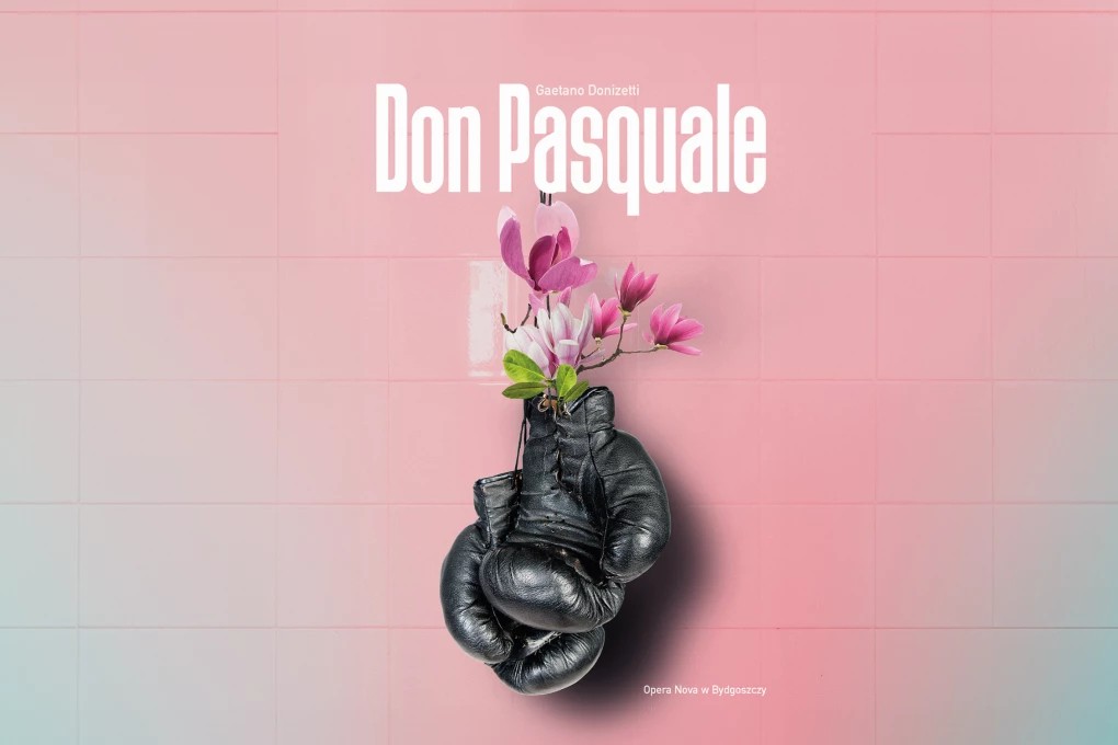 grafika z różowym tle Don Pasquale, na środku wiszą czarne rękawice bokserskie, w jednej znajdują się różowe kwiaty- jak w wazonie