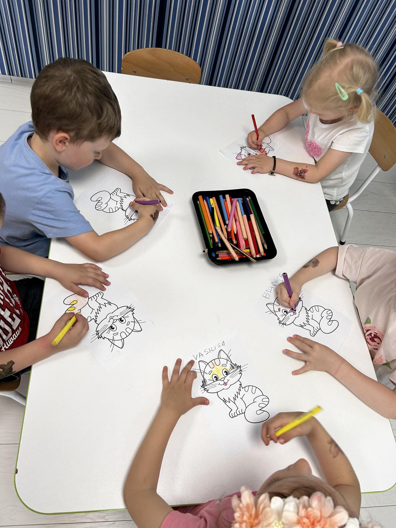Dzieci kolorują rysunek kota.