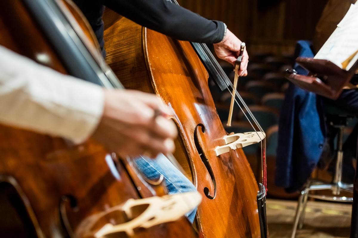 Fragment orkiestry, widoczne są instrumenty muzyczne, wiolonczele, na których grają muzycy.