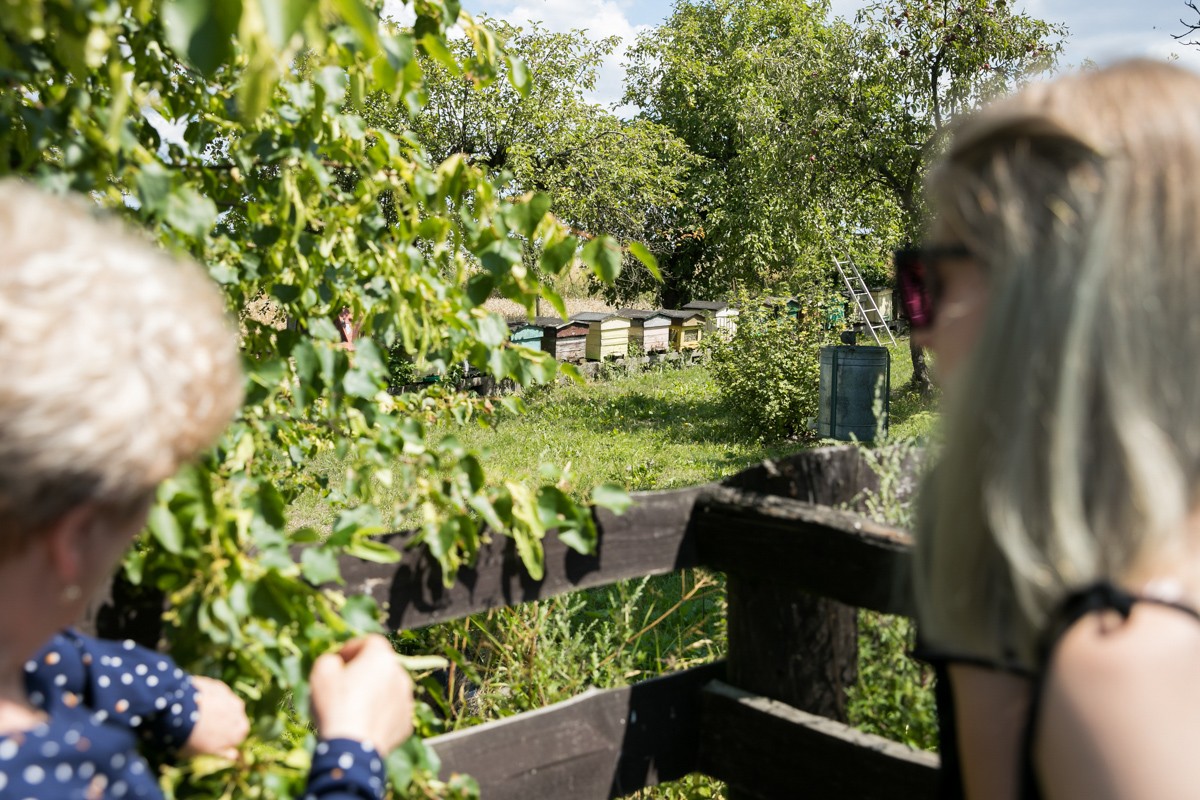 dwie kobiety stojące tyłem patrzą na sad, w którym stoją ule