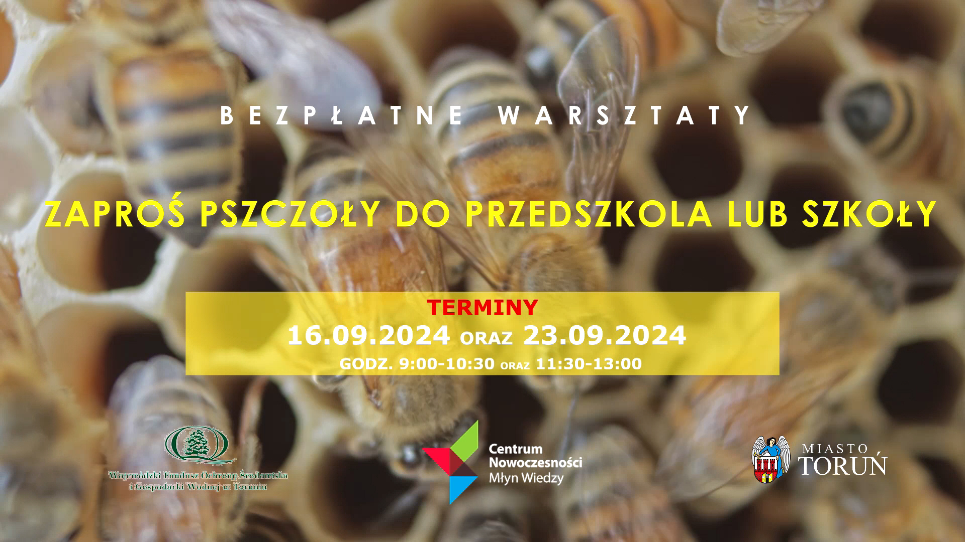 grafika wydarzenia z podstawowymi informacjami, tło z pszczołami na plastrze miodu