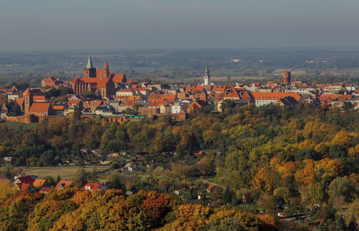 Panorama miasteczka z czerwonymi dachami i ceglana zabudową, otoczonego zielenią pól i lasów.